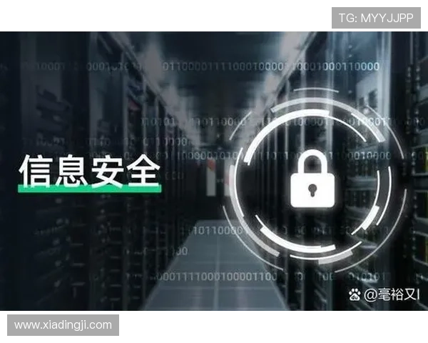 PA体育官网安全保障措施,保障用户信息安全与交易安全的全面措施