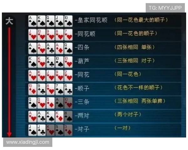 德州扑克比赛规则详解：从入门到高手的完整学习路径