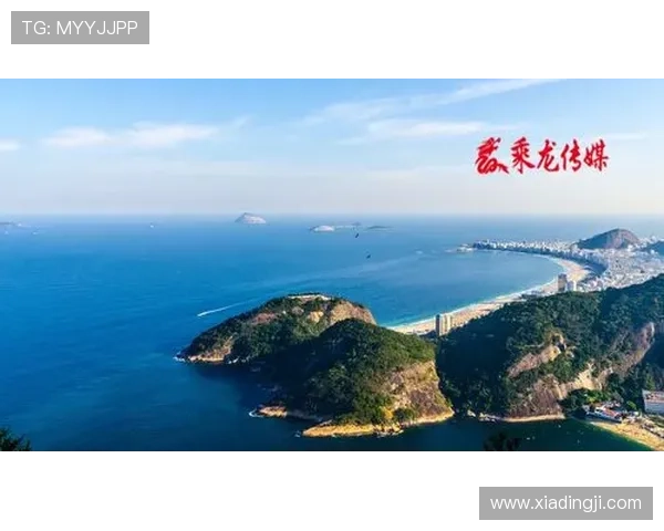 利来国际ag集团：未来发展战略与创新驱动引领行业新潮流