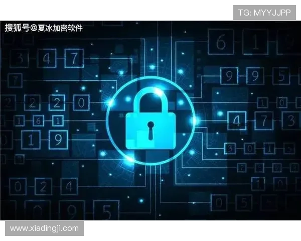 凯发官方下载安全保障，确保用户下载过程中的信息安全与隐私保护