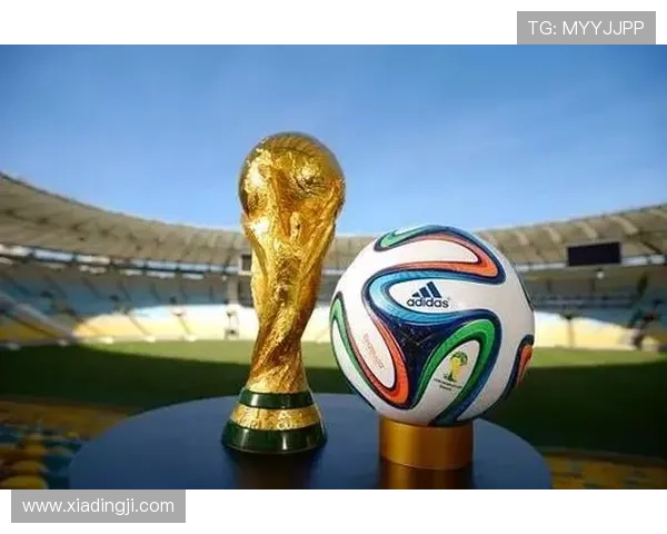 2026国际足联世界杯中文指南购票指南与入场须知确保顺利入场观看比赛